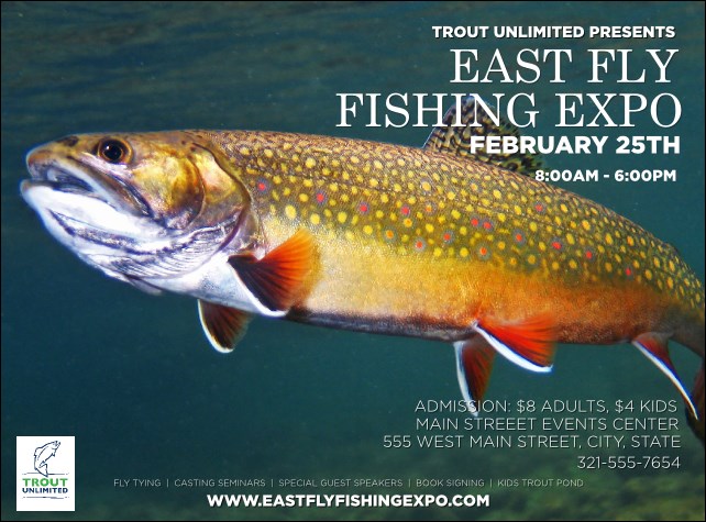 TU Brook Trout Flyer Product Front