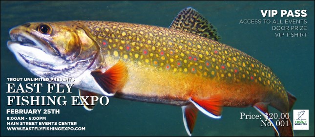 TU Brook Trout VIP Pass Product Front