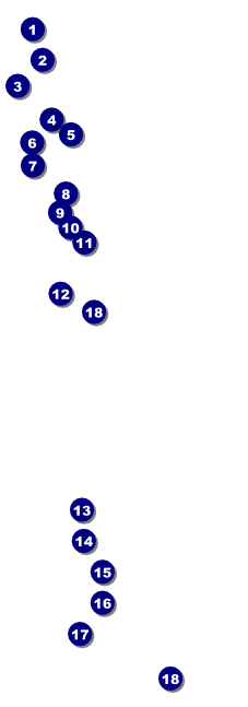 TU Driftboat Raffle Ticket Front Field Markers