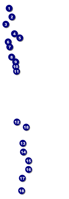 TU River in Pines Raffle Ticket Front Field Markers