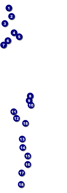 TU Small Stream Raffle Ticket Front Field Markers