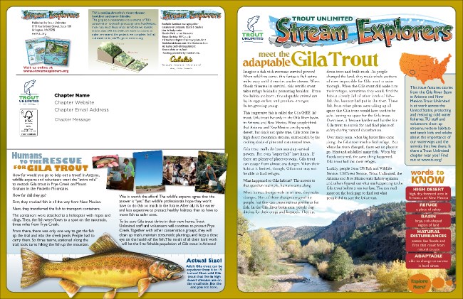 Gila Newsletter Product Front