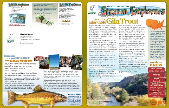 Gila Newsletter Product Front