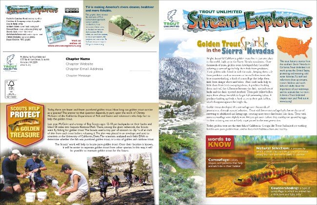 Golden Trout Newsletter Product Front