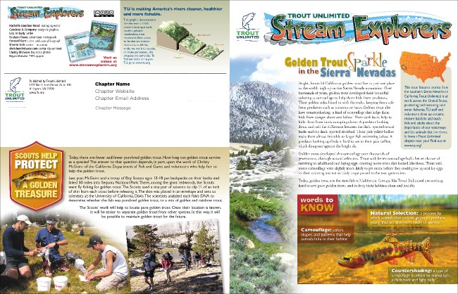 Golden Trout Newsletter Product Front