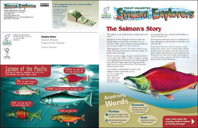 Pacific Salmon Newsletter Product Front