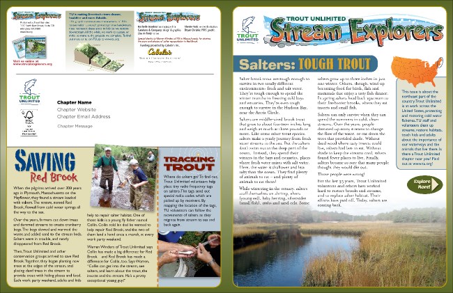 Salter Brookies Newsletter