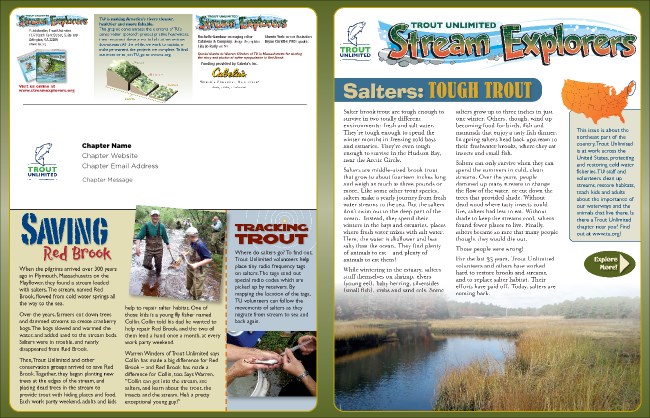 Salter Brookies Newsletter