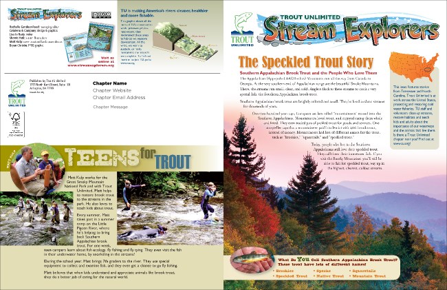 South Appalachian Newsletter Product Front