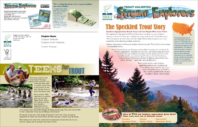 South Appalachian Newsletter Product Front