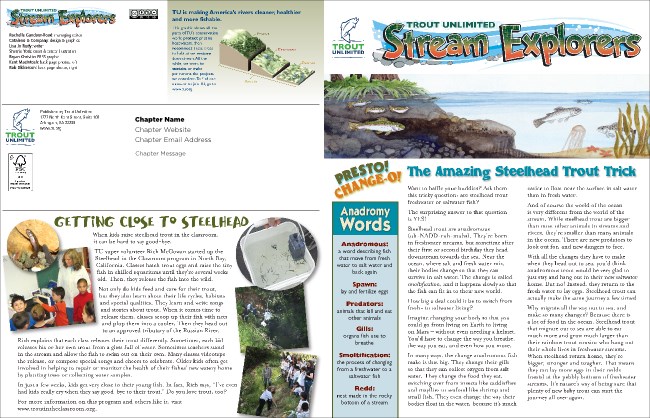 Steelhead 1 Newsletter Product Front