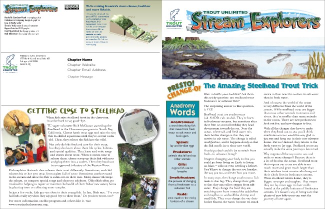 Steelhead 1 Newsletter Product Front