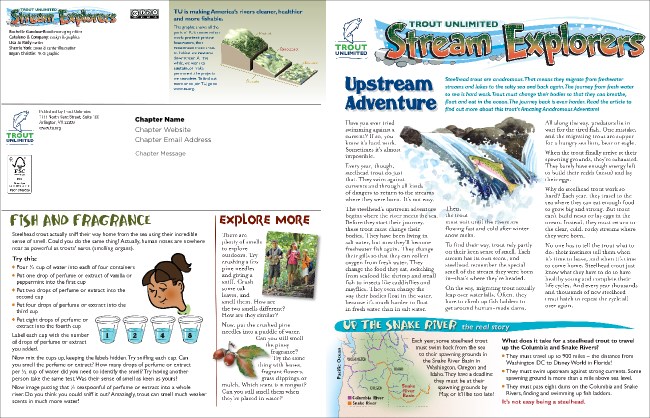 Steelhead 2 Newsletter Product Front