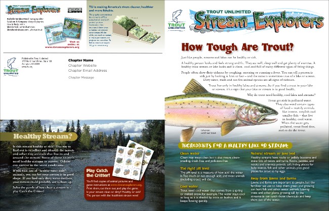 Stream Ecology Newsletter Product Front