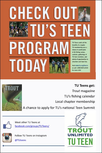 Teen Poster Product Front