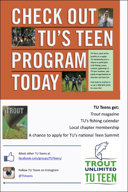 Teen Poster