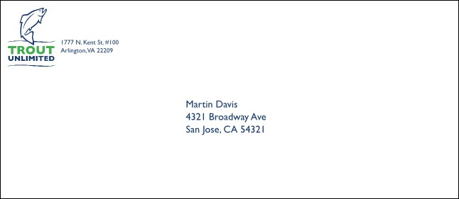 TU CSV #10 Envelope