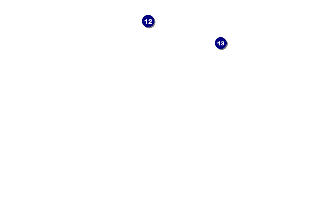 TU Brook Trout Postcard Back Field Markers