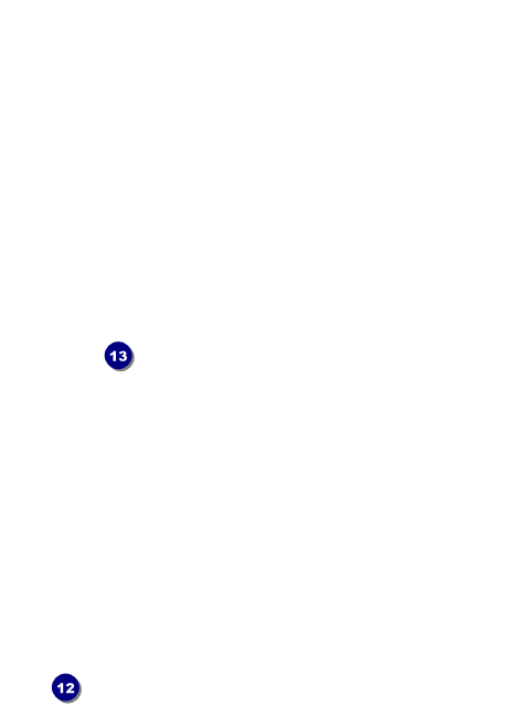 TU River in Pines Postcard Back Field Markers