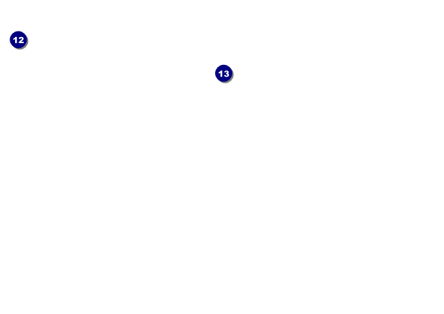 TU Rainbow Trout Postcard Back Field Markers