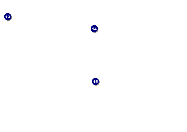 TU Rainbow Trout Postcard (with image upload) Back Field Markers