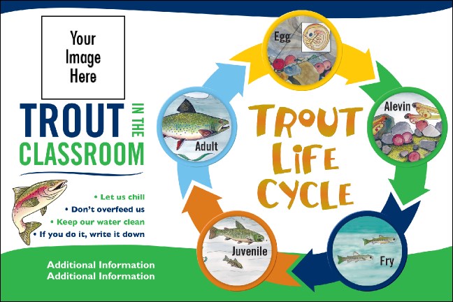 TIC Classroom 4x6 Sticker (customizable logo) Product Front
