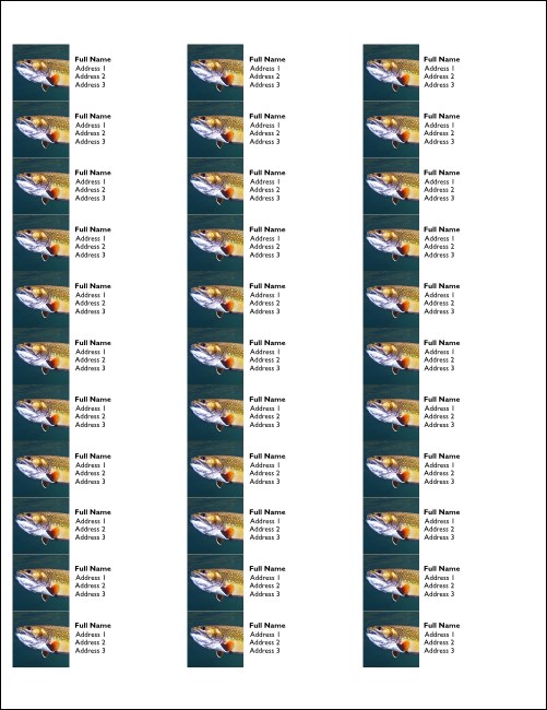 TU Brook Trout Address Labels Product Front