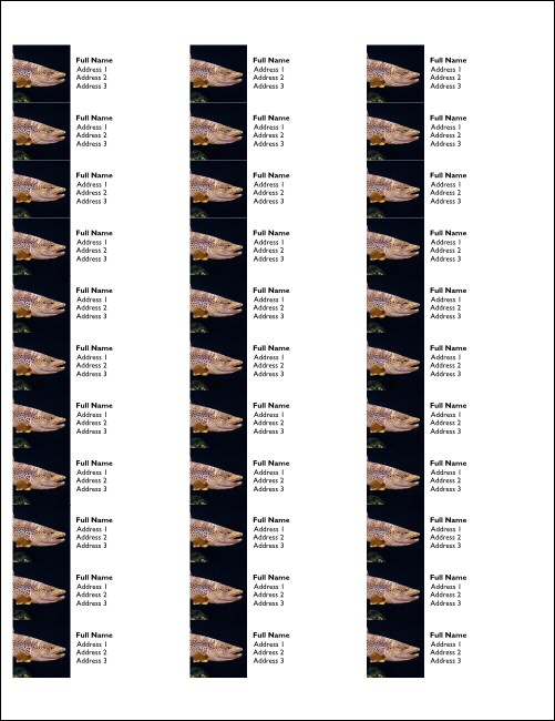 TU Brown Trout Address Labels Product Front