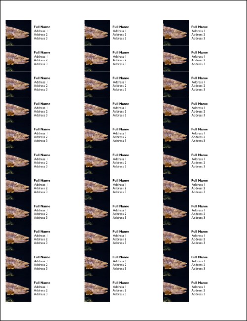 TU Brown Trout Address Labels