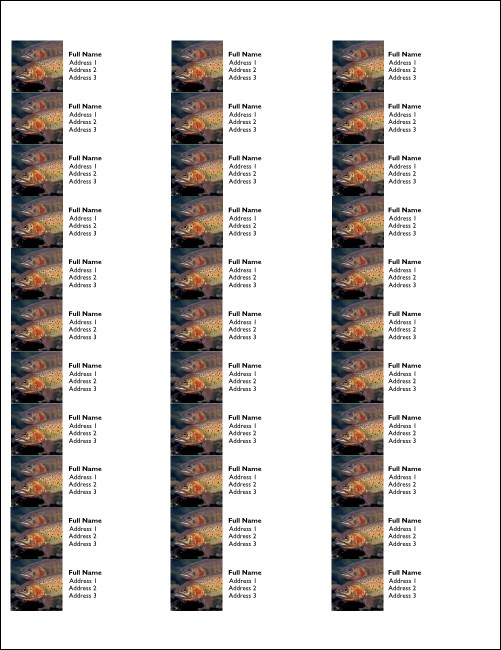 TU Cutthroat Address Labels