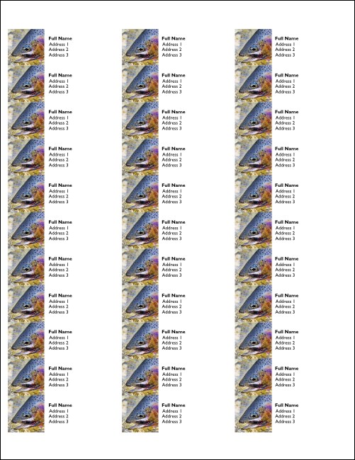 TU Rainbow Trout Address Labels Product Front