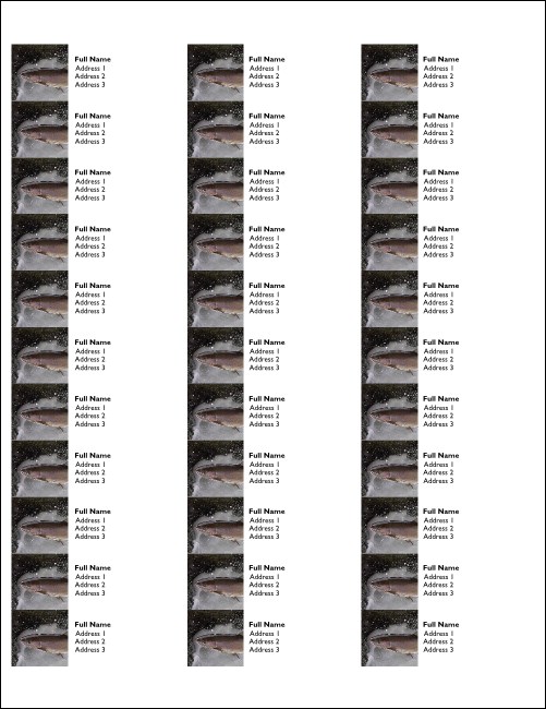 TU Steelhead Trout Address Labels