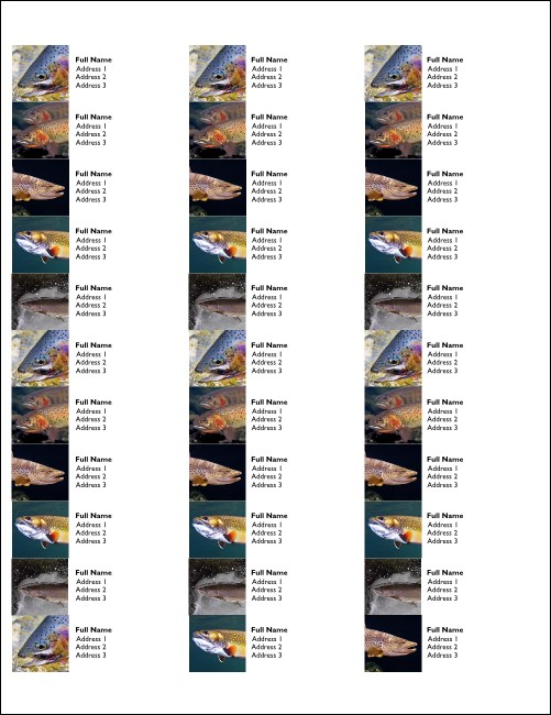 TU Fish Variety Address Labels Product Front
