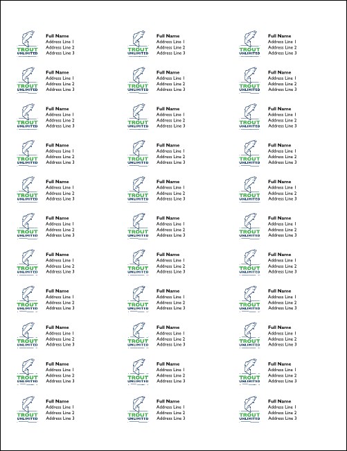 TU Basic Address Labels Product Front