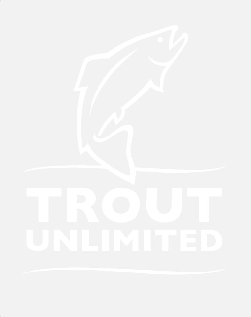 TU Logo Car Decal (Medium) Product Front