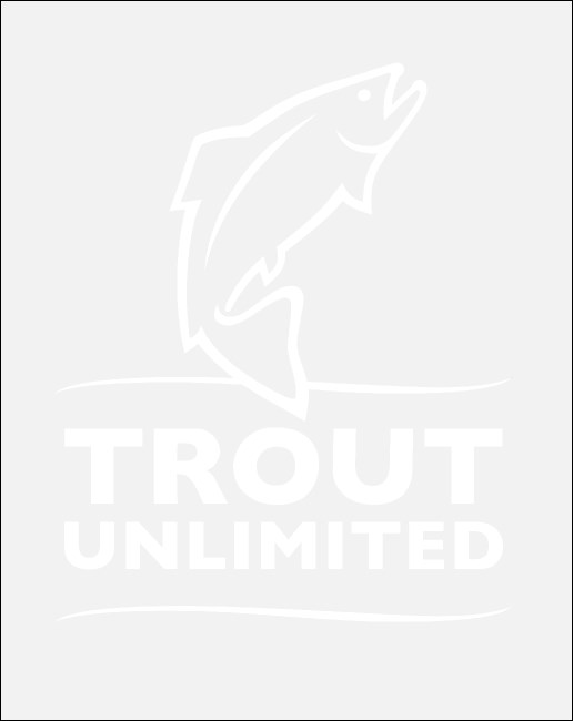 TU Logo Car Decal (Large) Product Front