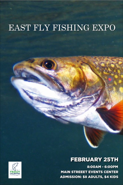 TU Brook Trout  Pinterest Post