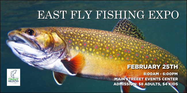 TU Brook Trout Twitter Post