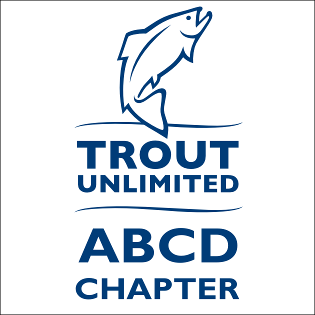 TU Chapter Unisex Hoodie (color logo)