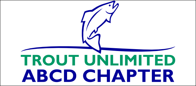 TU Chapter Cap (color logo)