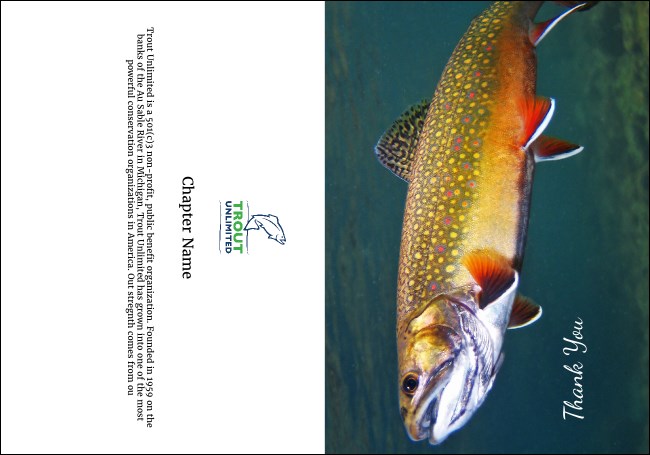 TU Brook Trout Thank You Card Product Front