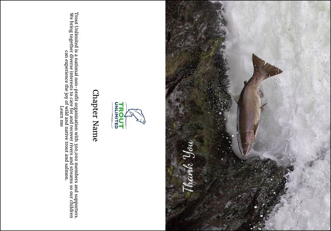 TU Steelhead Trout Thank You Card Product Front