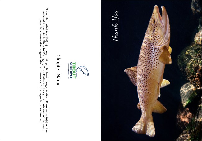 TU Brown Trout Thank You Card Product Front