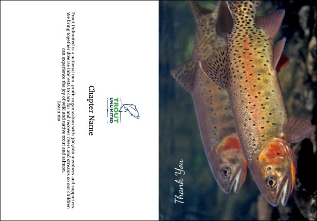 TU Cutthroat Trout Thank You Card Product Front