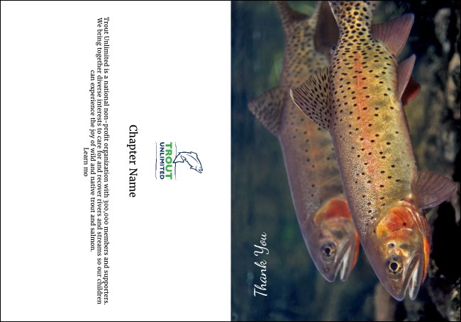 TU Cutthroat Trout Thank You Card