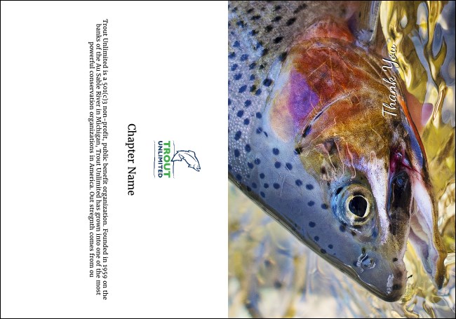 TU Rainbow Trout Thank You Card Product Front