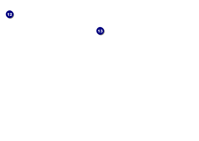 TU Electrofishing Closeup Postcard Back Field Markers