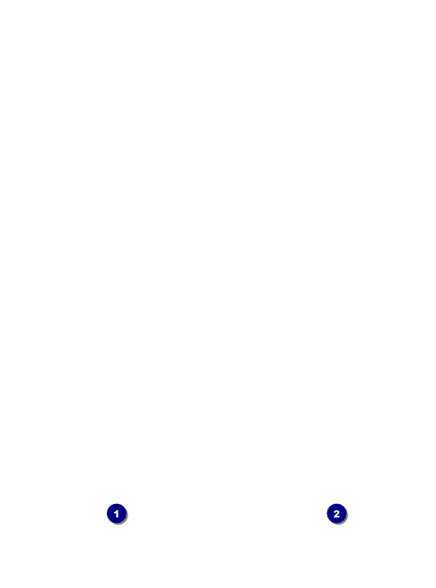 5 Rivers College Angler Flyer Front Field Markers