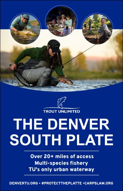 11" x 17" Easel Back PVC Poster Version 1