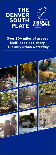 Pop-Up Banner Version 1